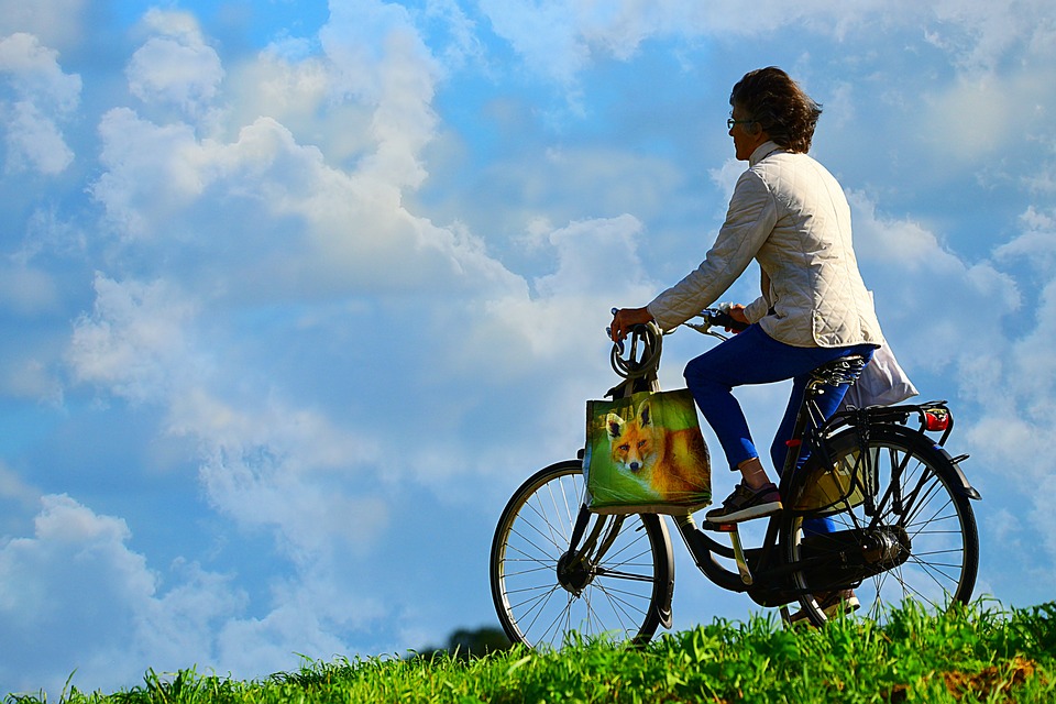 Flusskreuzfahrt mit Fahrrad